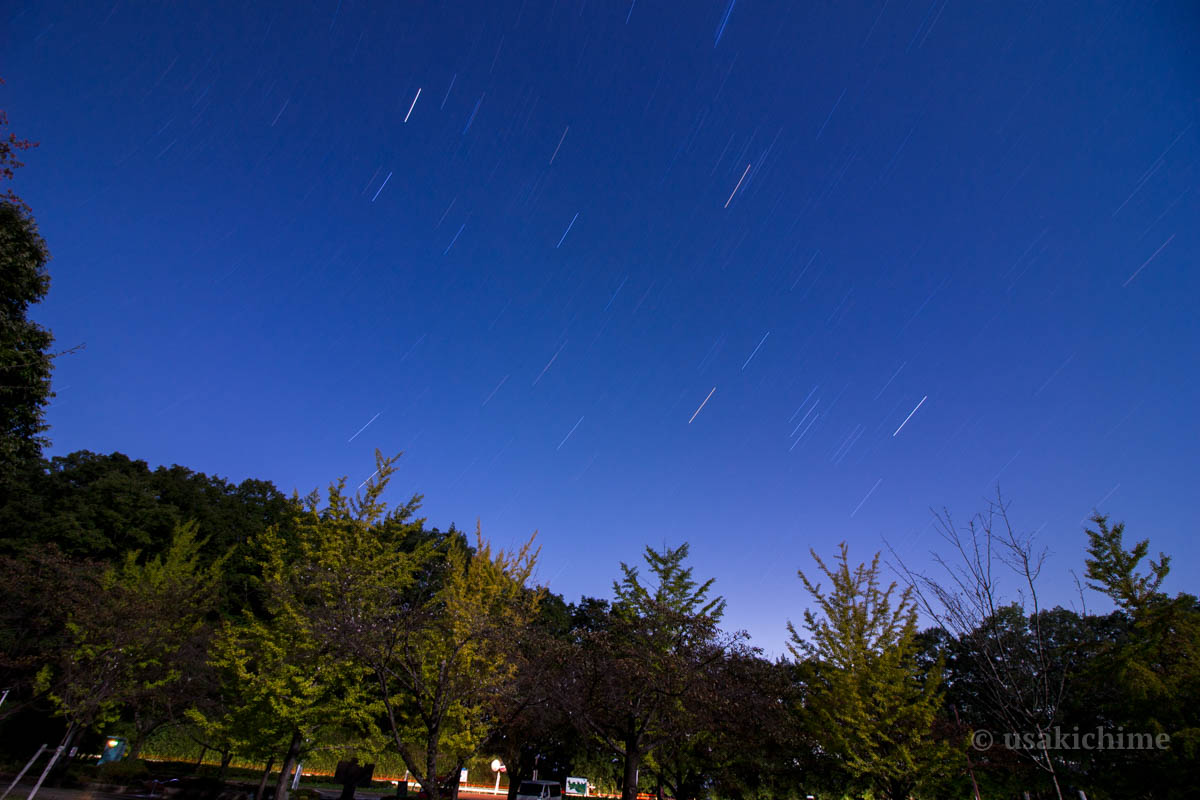 秩父ミューズパーク