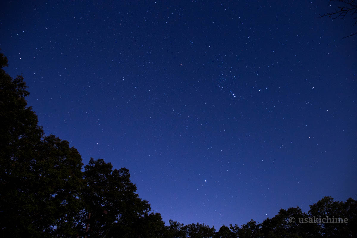 秩父ミューズパークの星空